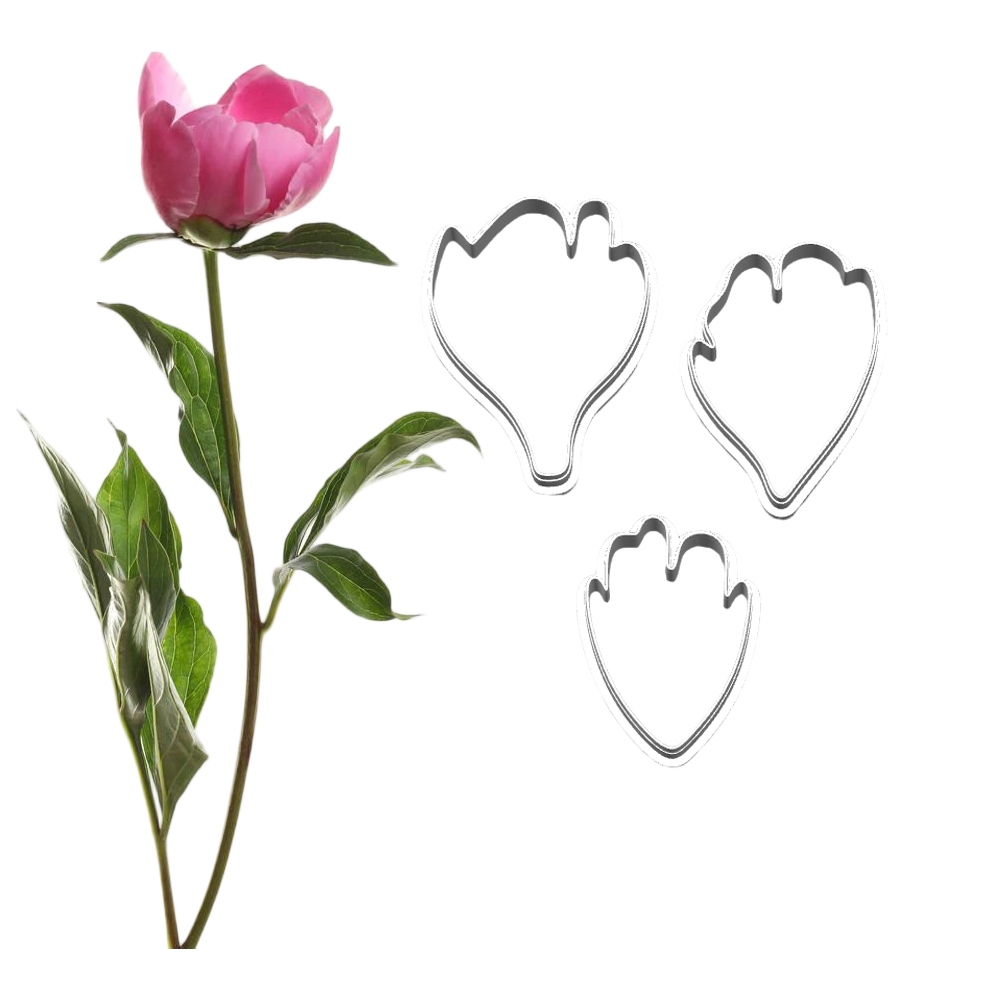 New Peony Silicone Molds&Cutte - Candle Making Workshop ulasan dan harga