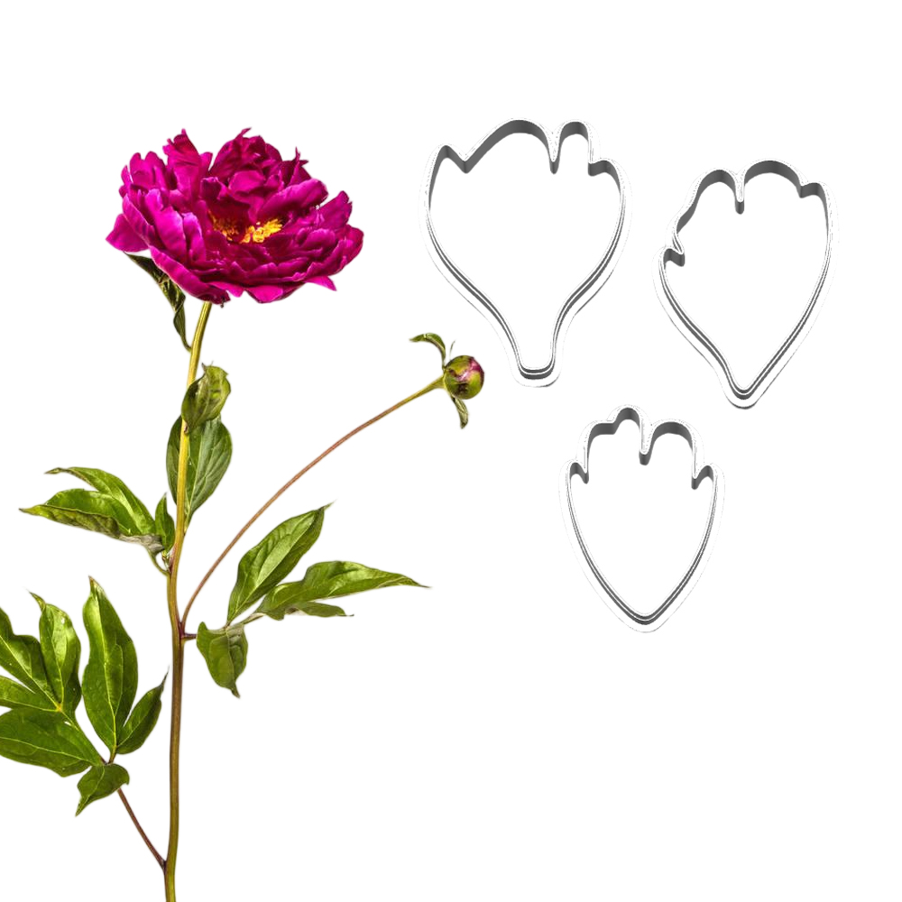 New Peony Silicone Molds&Cutte - Candle Making Workshop ulasan dan harga