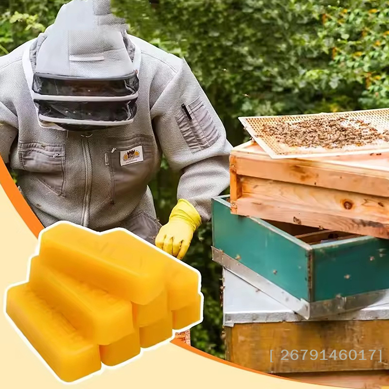 【YY26】4/8pcs Pure Beeswax Bloc - Candle Making Material ulasan dan harga